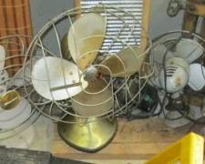 FANS
