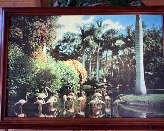 1950’s Florida Flamingos lighted picture