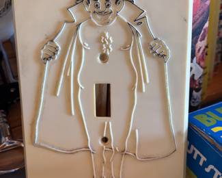 the flasher light switch cover