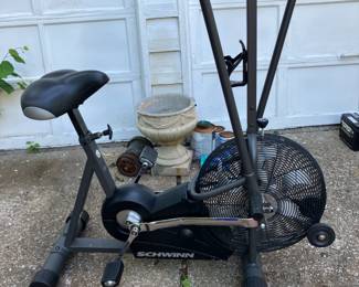 Schwinn air dyne