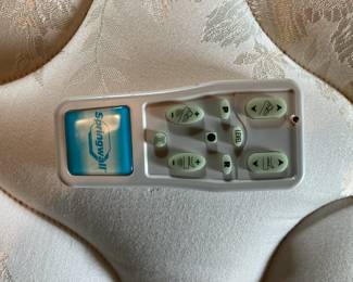 Remote for bed