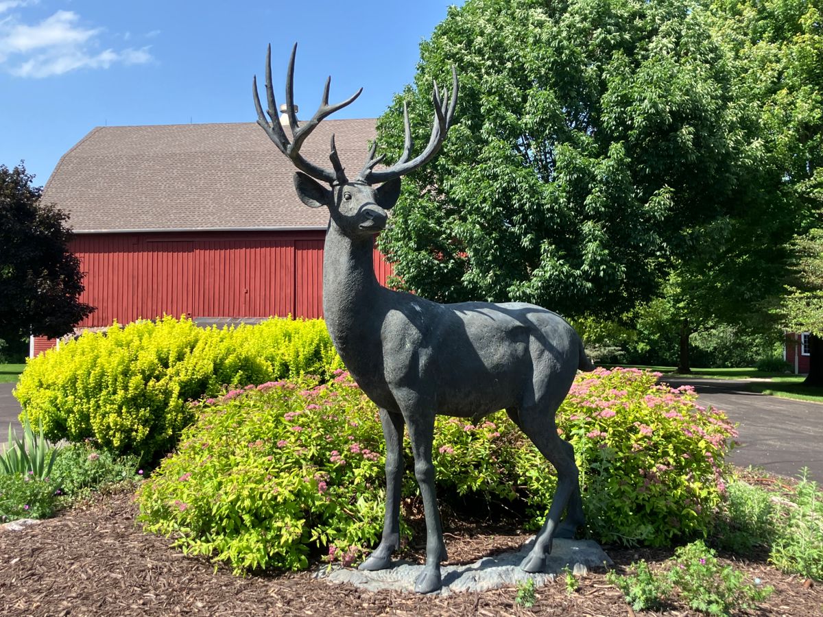 55” Bronze Whitetail Deer