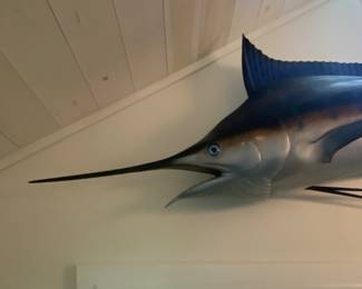 Majestic Blue Marlin Wall Mount made of fiberglass...8'7" in length, 30 inches dorsal to underside, 36 inches from top to bottom of tail.  We will take it off the wall, you will be responsible for transportation.