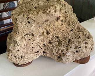 Limestone coral from Cape Cod...been in the family for decades...approx 17x16x11 and approx 25 pounds.