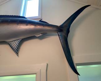 Majestic Blue Marlin Wall Mount made of fiberglass...8'7" in length, 30 inches dorsal to underside, 36 inches from top to bottom of tail.  We will take it off the wall, you will be responsible for transportation.