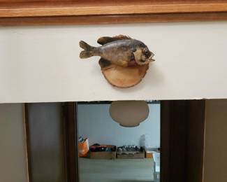 Yes, we have more dead things that hang on the wall. 