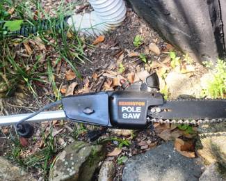 Electric polesaw