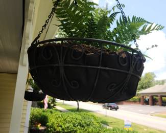 Hanging baskets