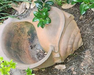 Shell planter