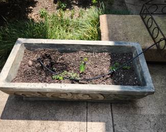 Long concrete planter