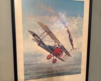 Framed Posters