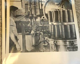 Vintage 1950s American Sheep Producers Council Poster - There’s About 8 of them in Total!