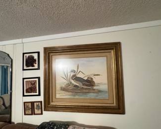 Large duck Picture