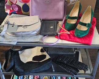 Designer purses and shoes