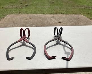 Ice tongs
