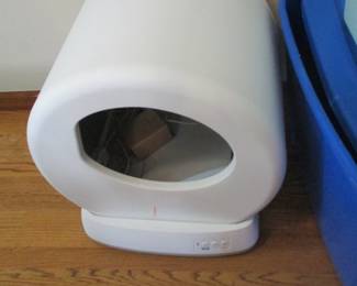 where is the kitty? 