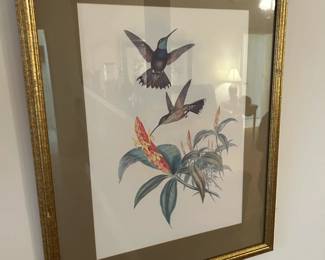 Bird Artwork (4 piece set)