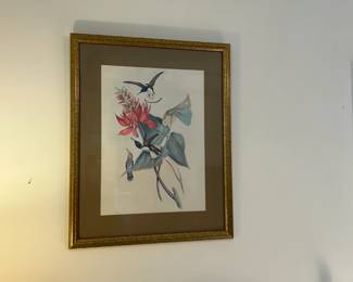 Bird Artwork (4 piece set)