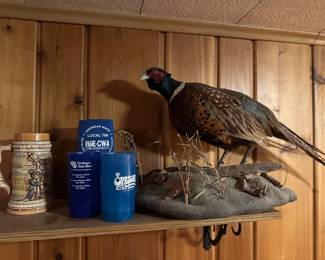 Pheasant Taxidermy