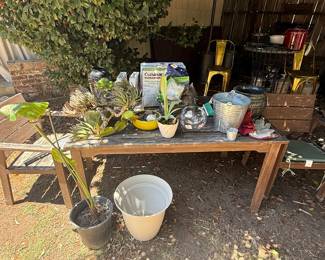 Plants and gardening