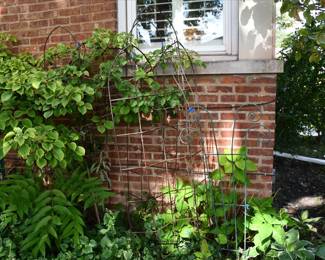 684Back Yard