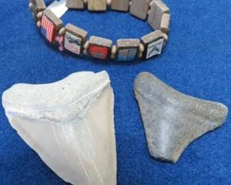 Fossilized Ginsu Shark Tooth