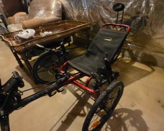 ElliptiGO 8C Cardio Fun Exercise Equipment