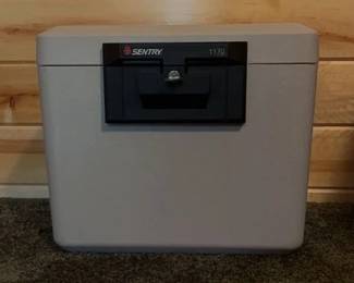 hot springs brady online auctionMG 5726