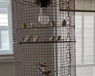 Precious hanging lamp!