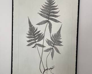 3 large botanicals prints