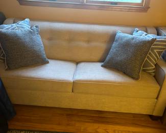 New couch with pull out bed