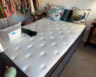 Beautyrest  Harmony Plush Pillow Top with Motion Air Bed lift, head and feet