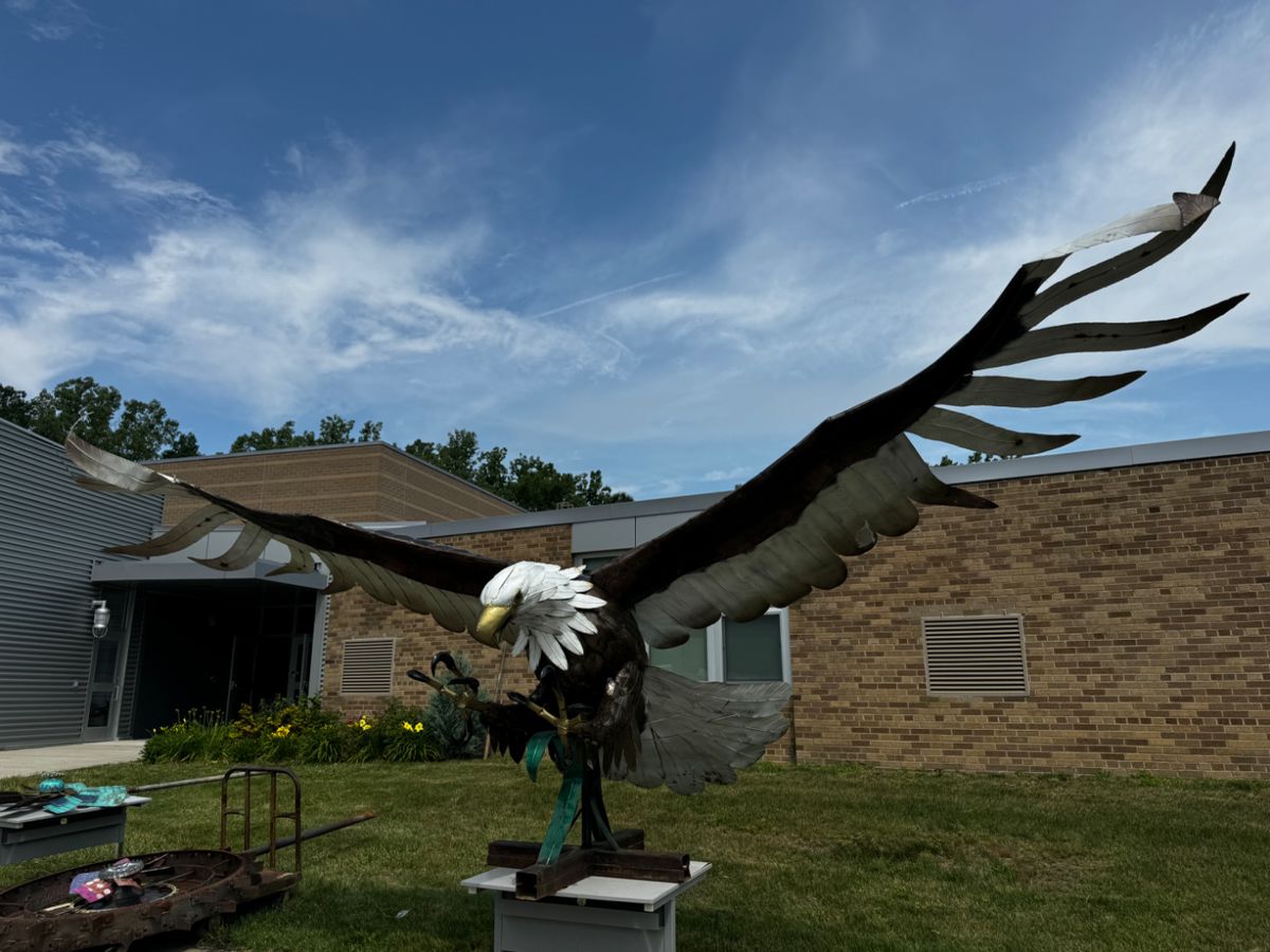 Large metal Eagle 21’ wing span, it does come apart for transportation 