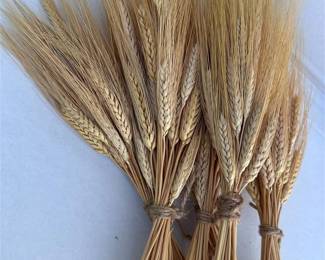 wheat