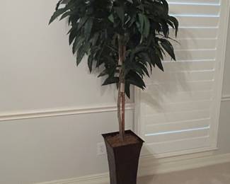 Plant, planter