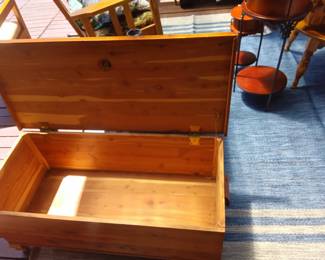 Chest