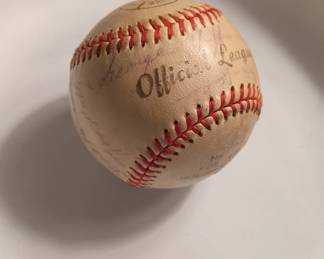 Baseball offical league