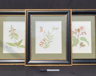 Framed floral prints