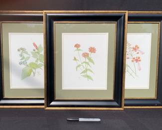 Series of framed floral prints