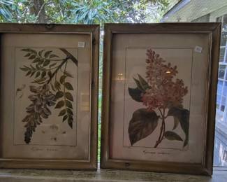 Botanical art