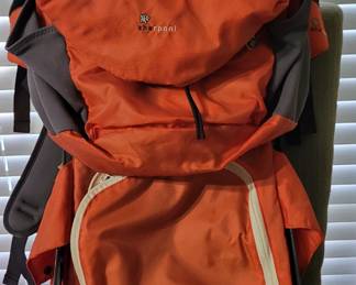 Sherpani child carrier backpack