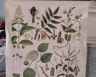 Hanging botanical canvas