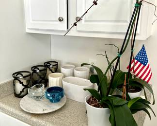 Lots in the Garage!!