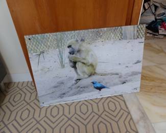 Framed photograph of African animals