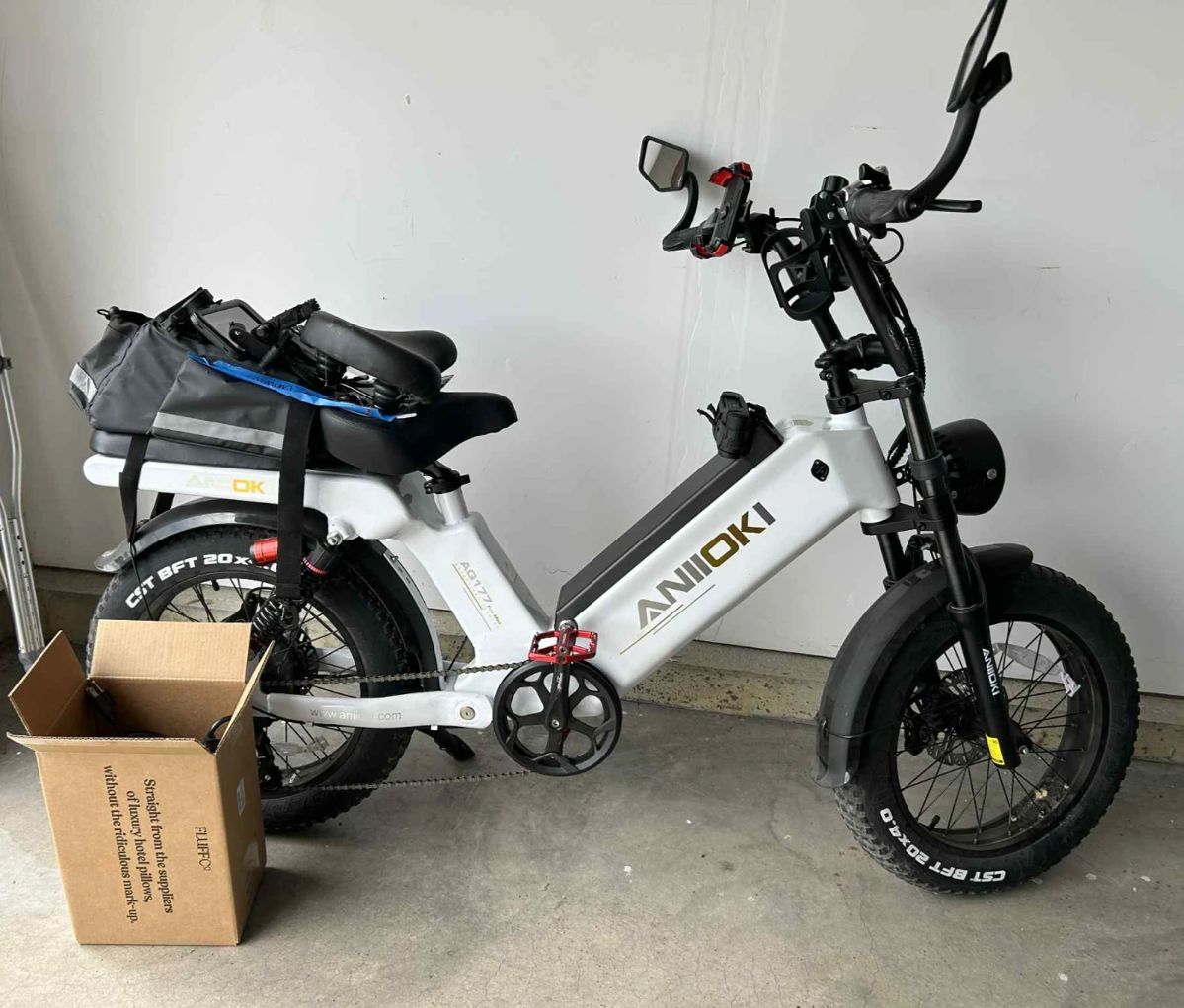 Electric Bike