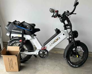 Electric Bike