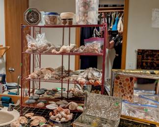 Seashells gathered on travels