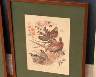 Floral/Animal Framed Wall Art