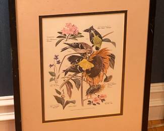 Floral/Animal Framed Wall Art