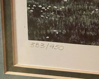 Signed & Framed Artwork